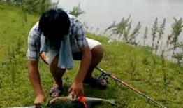 海竿钓鱼视频,视频教学带你轻松上钩